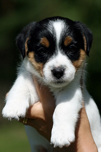 100628_roope syli.jpg - Roope, nyk. Luca